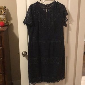 City Chic Navy Blue Dress. Scalloped, lace detail